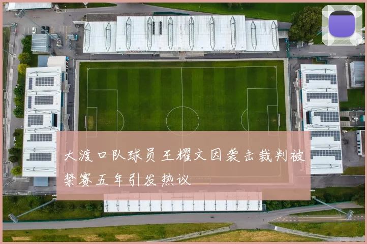 大渡口队球员王耀文因袭击裁判被禁赛五年引发热议