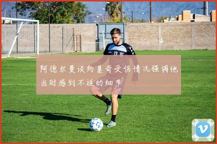 阿德尔曼谈约基奇受伤情况强调他当时感到不适的细节