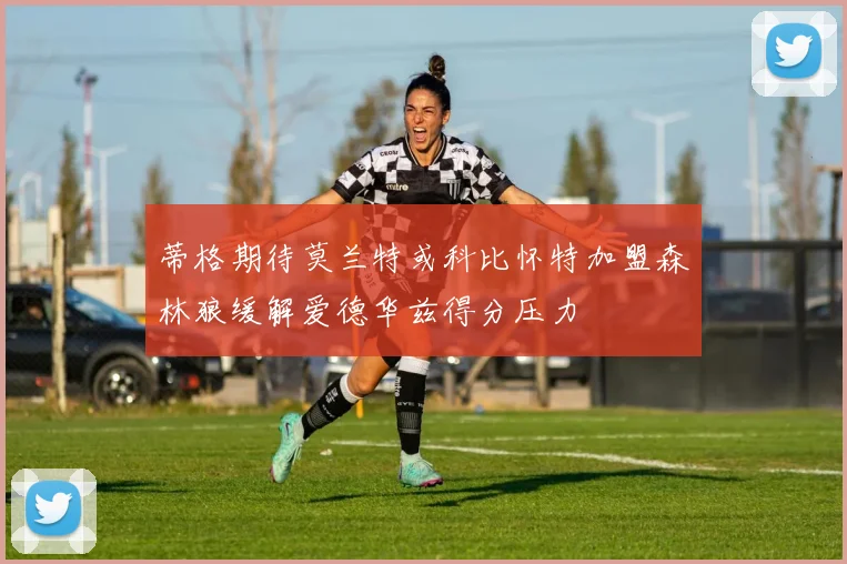 蒂格期待莫兰特或科比怀特加盟森林狼缓解爱德华兹得分压力